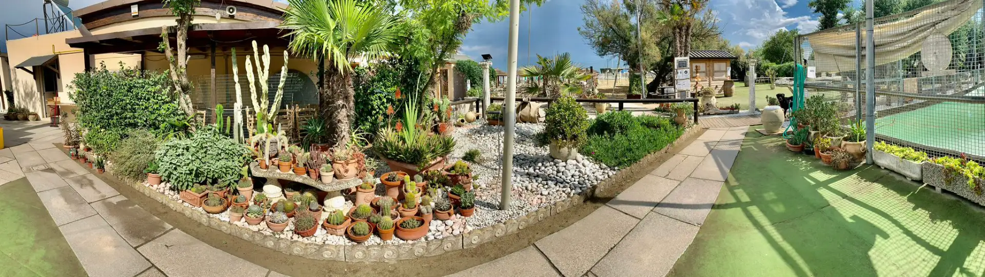 Giada Beach - il giardino 2