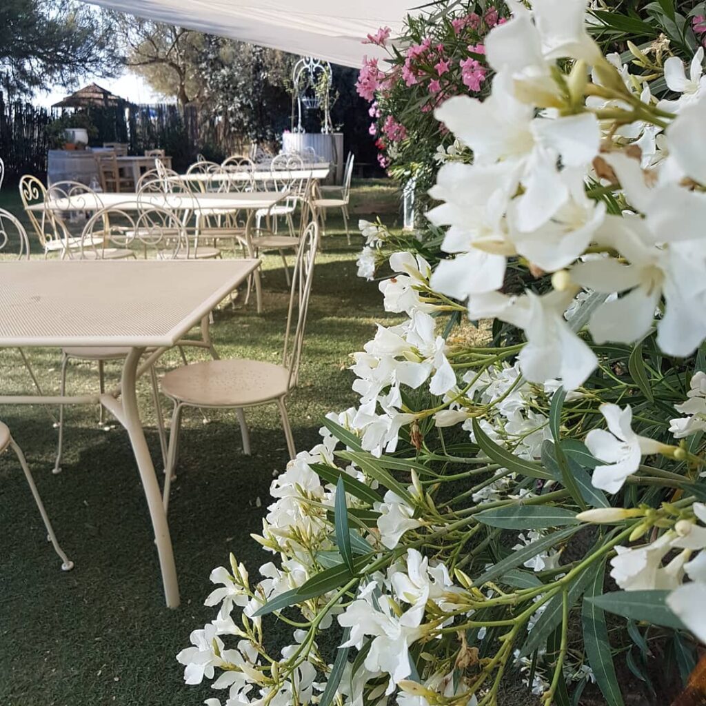 Giada Beach - Aperitivi in Giardino